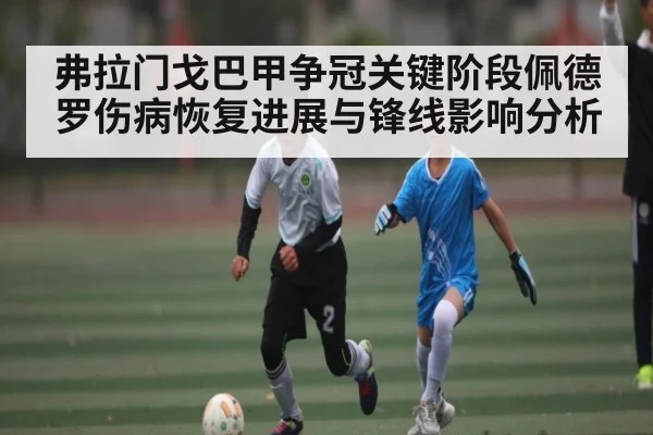 弗拉门戈巴甲争冠关键阶段佩德罗伤病恢复进展与锋线影响分析